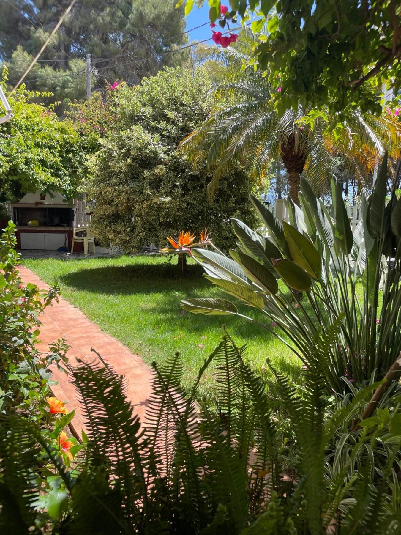Buganvillas Studios Preveza Exterior photo
